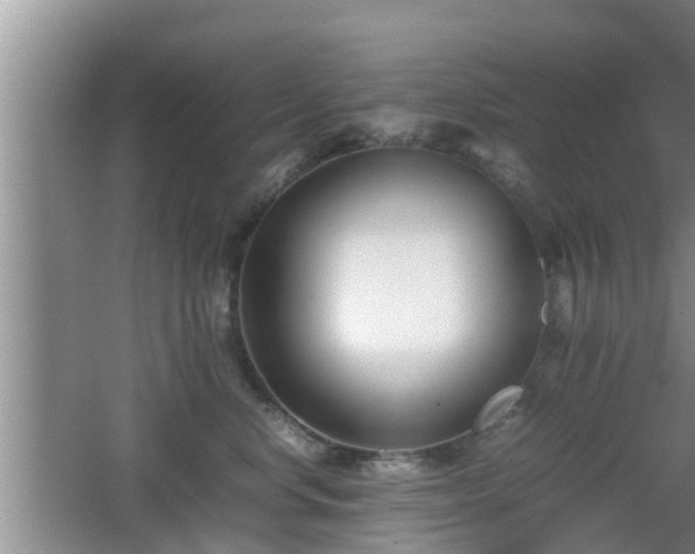 X0000062130668200512121217