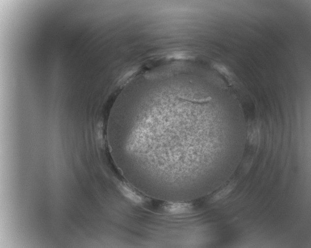 X0000062130670200512121217