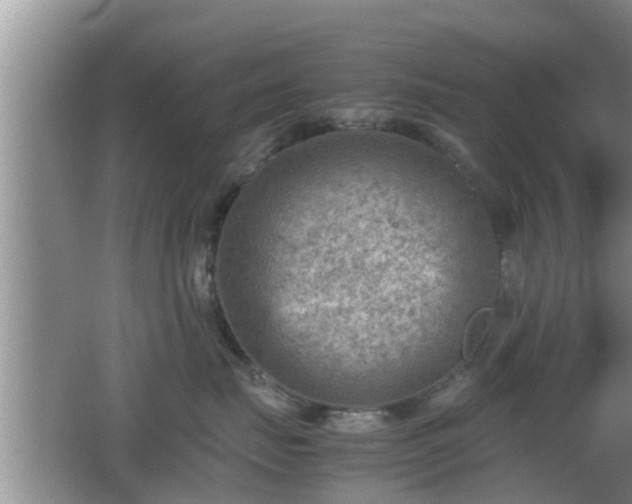 X0000062130671200512121217