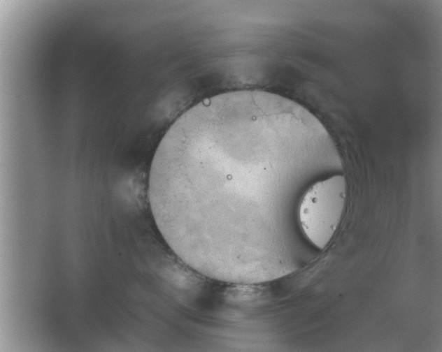 X0000062130672200512121217