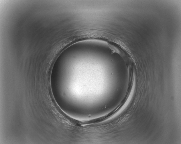 X0000062130673200512121216