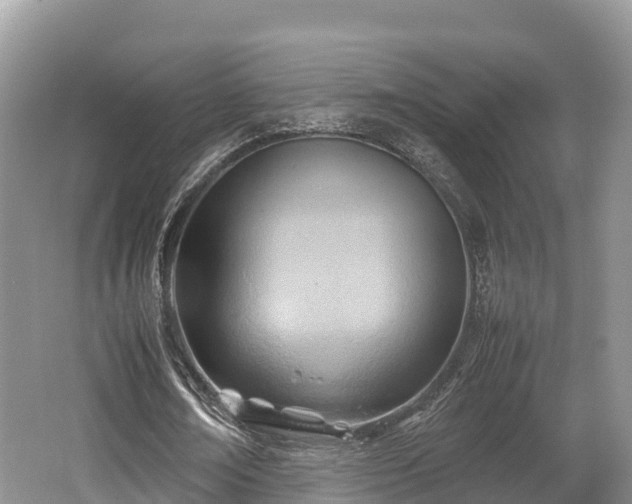 X0000062130674200512121216