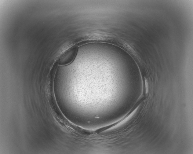 X0000062130675200512121216