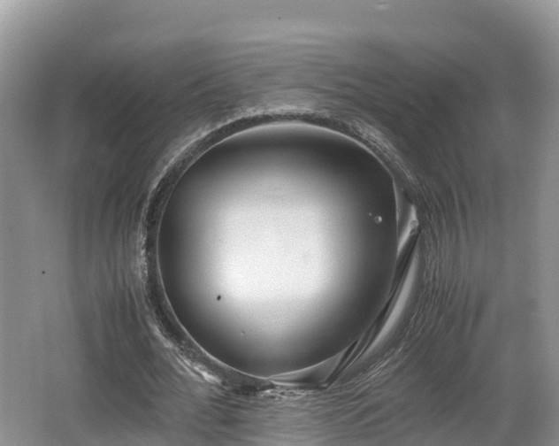 X0000062130676200512121216