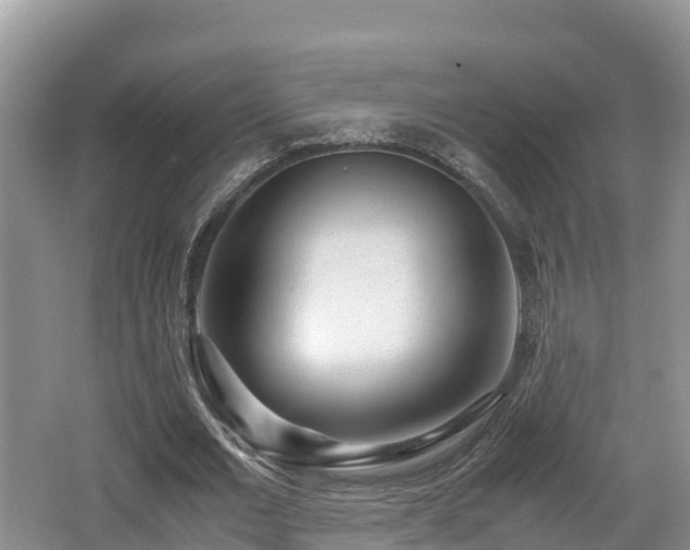 X0000062130677200512121216