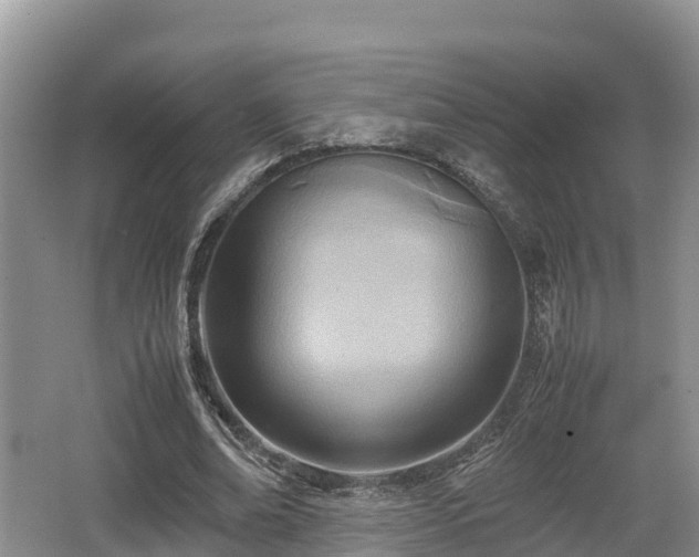 X0000062130678200512121216