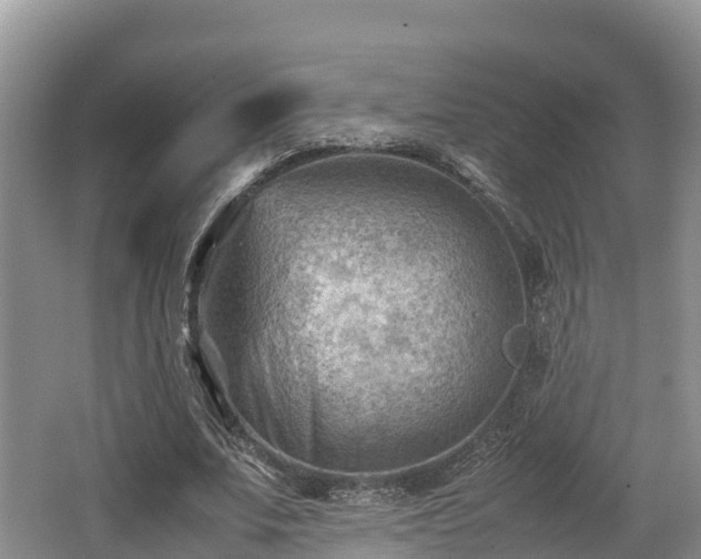 X0000062130679200512121216