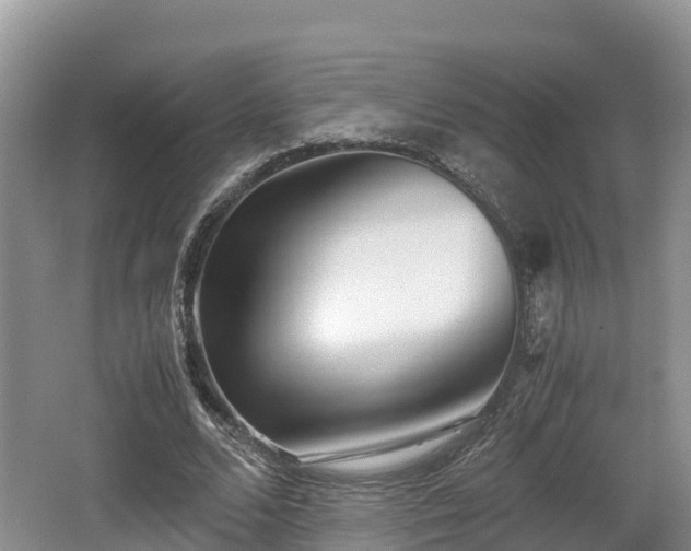 X0000062130680200512121216