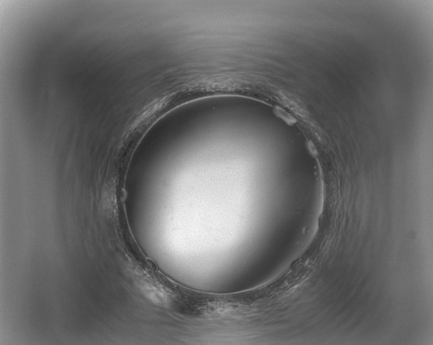 X0000062130681200512121216