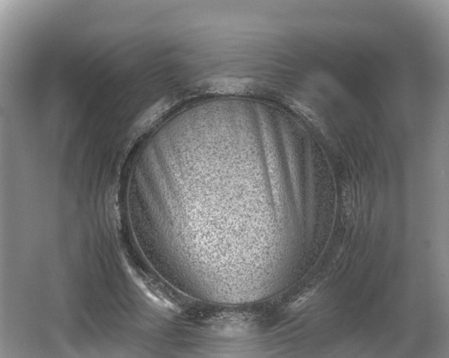 X0000062130682200512121216