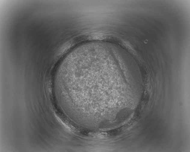 X0000062130683200512121216