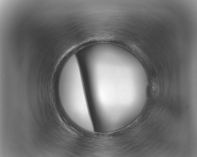 X0000062130684200512121216