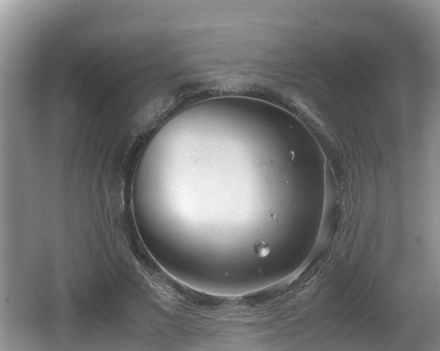 X0000062130685200512121216