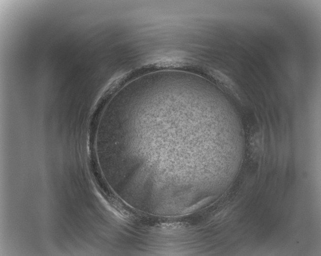 X0000062130686200512121216