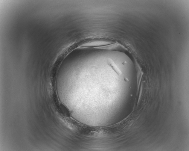 X0000062130688200512121216