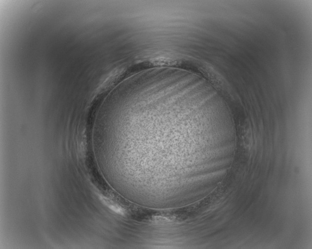 X0000062130690200512121216