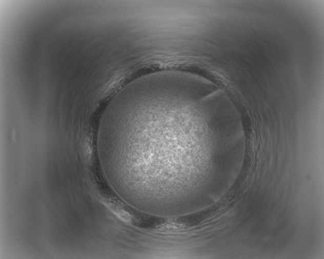 X0000062130691200512121216