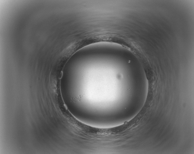 X0000062130693200512121216