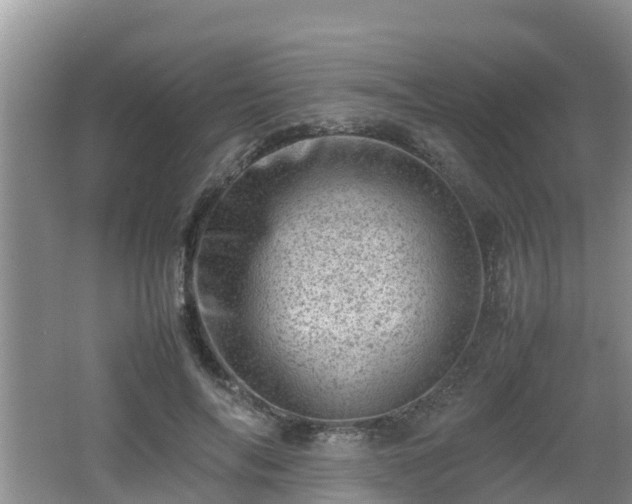 X0000062130694200512121216