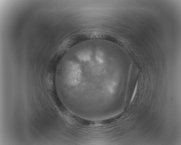 X0000062130695200512121216