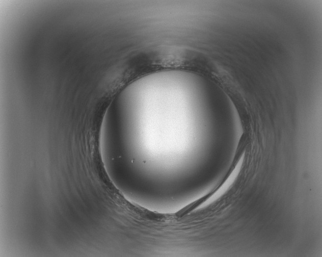 X0000062130697200512121216