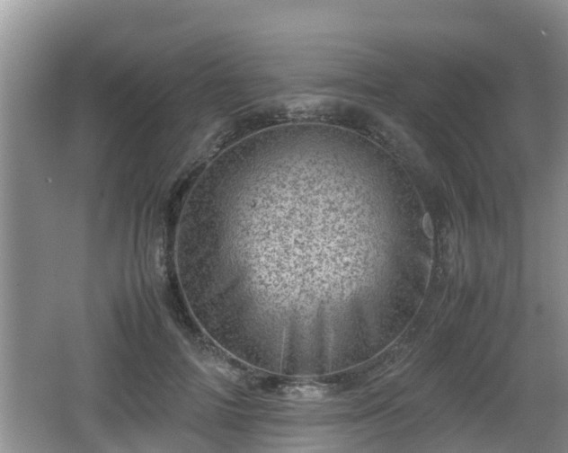 X0000062130698200512121216