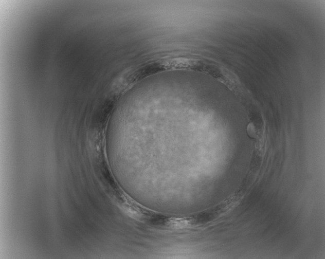 X0000062130701200512121216