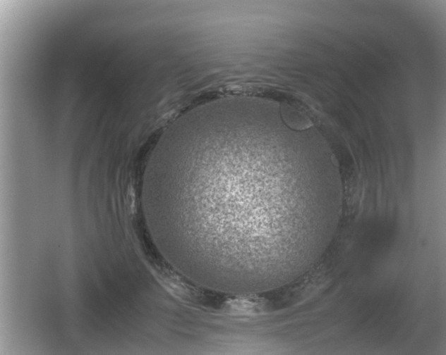 X0000062130703200512121215