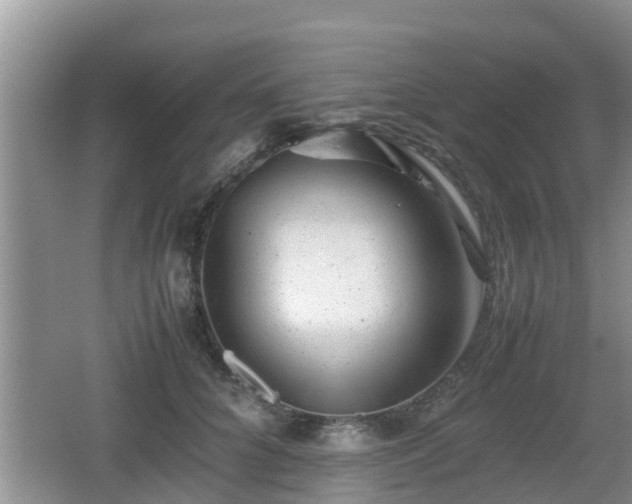 X0000062130704200512121215