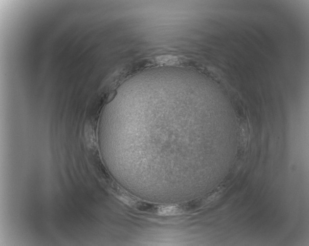 X0000062130705200512121215