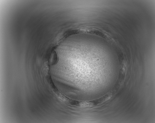 X0000062130707200512121215