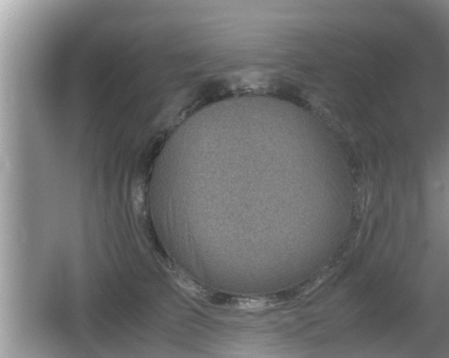 X0000062130709200512121215