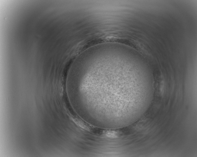 X0000062130710200512121215