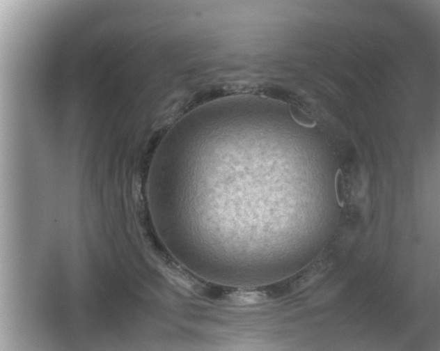 X0000062130711200512121215