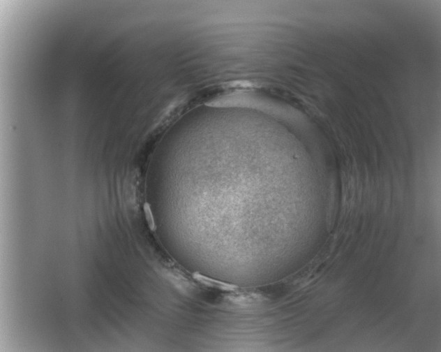 X0000062130712200512121215