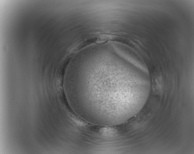 X0000062130714200512121215