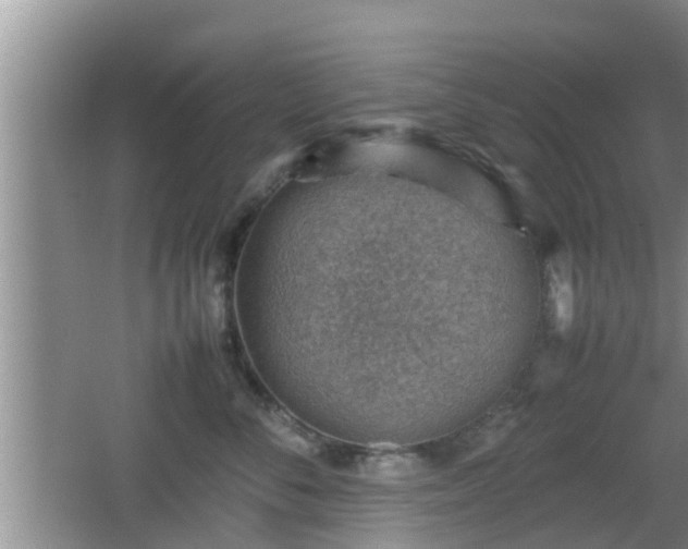 X0000062130716200512121215