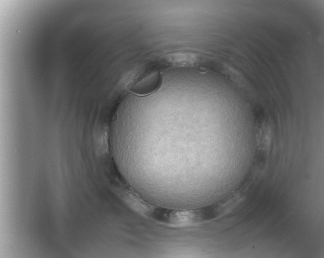 X0000062130717200512121215