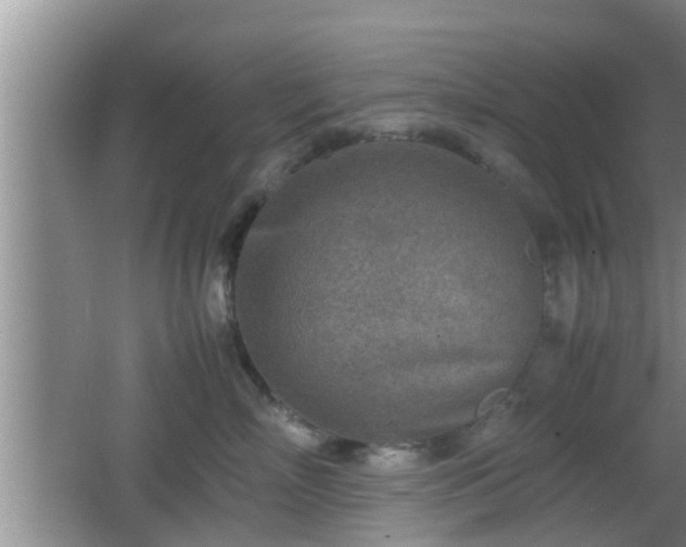 X0000062130718200512121215