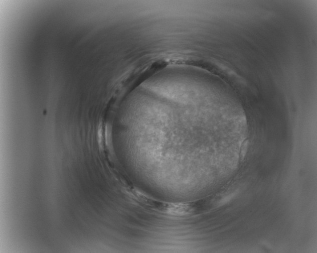 X0000062130720200512121215