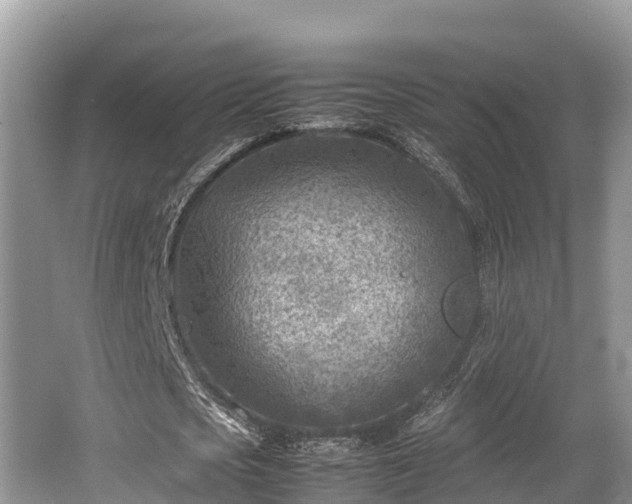 X0000062130721200512121214