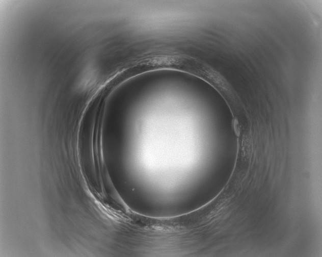 X0000062130722200512121214