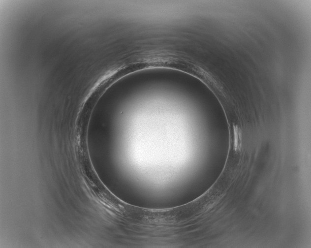 X0000062130723200512121214