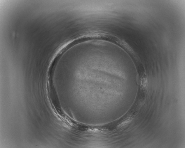 X0000062130724200512121214