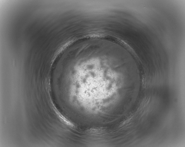 X0000062130725200512121214