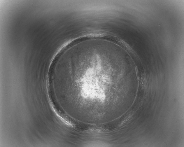 X0000062130726200512121214