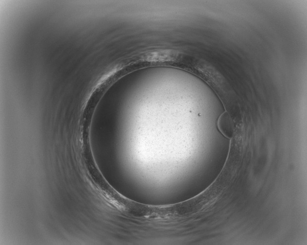 X0000062130727200512121215