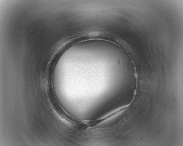 X0000062130728200512121215