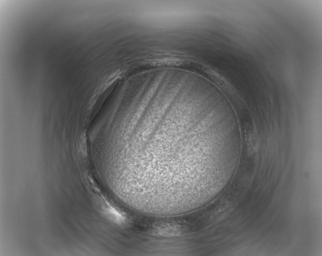 X0000062130729200512121215