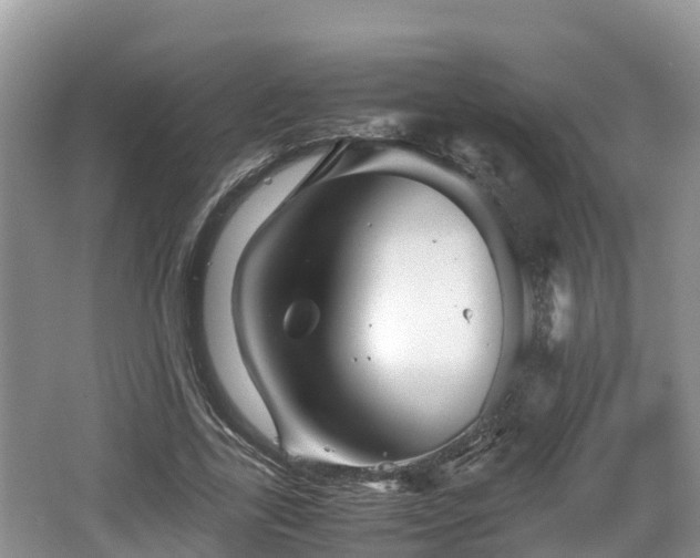 X0000062130731200512121215